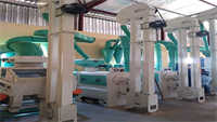 Botswana 2TPH Sorghum Peeling Line Installation