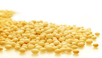 Soybean Price