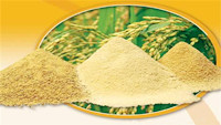 Rice Bran