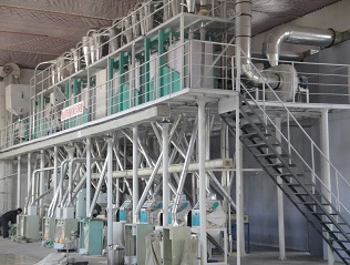 corn flaking mill and flour milling.jpg