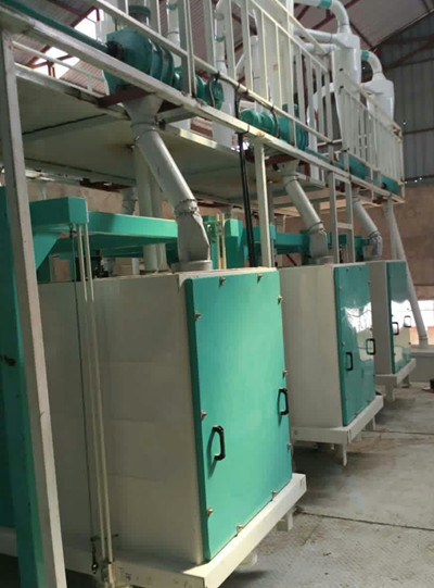 Burundi 40T/Day Corn Flour Processing Line Installation