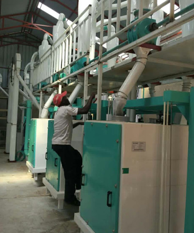 Burundi 40T/Day Corn Flour Processing Line Installation