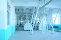 maize milling plant.jpg