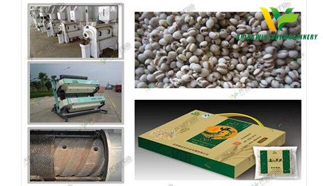 Pearl Barley Peeling Machine